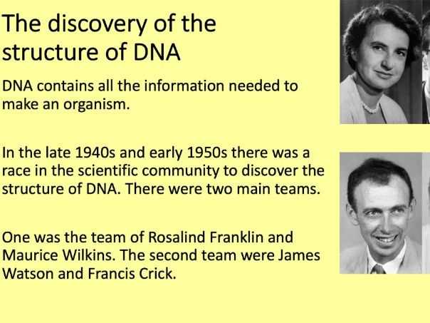 dna history a timeline activity answer key