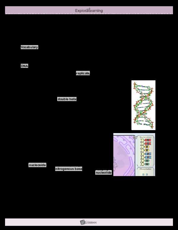 dna profiling gizmo answer key