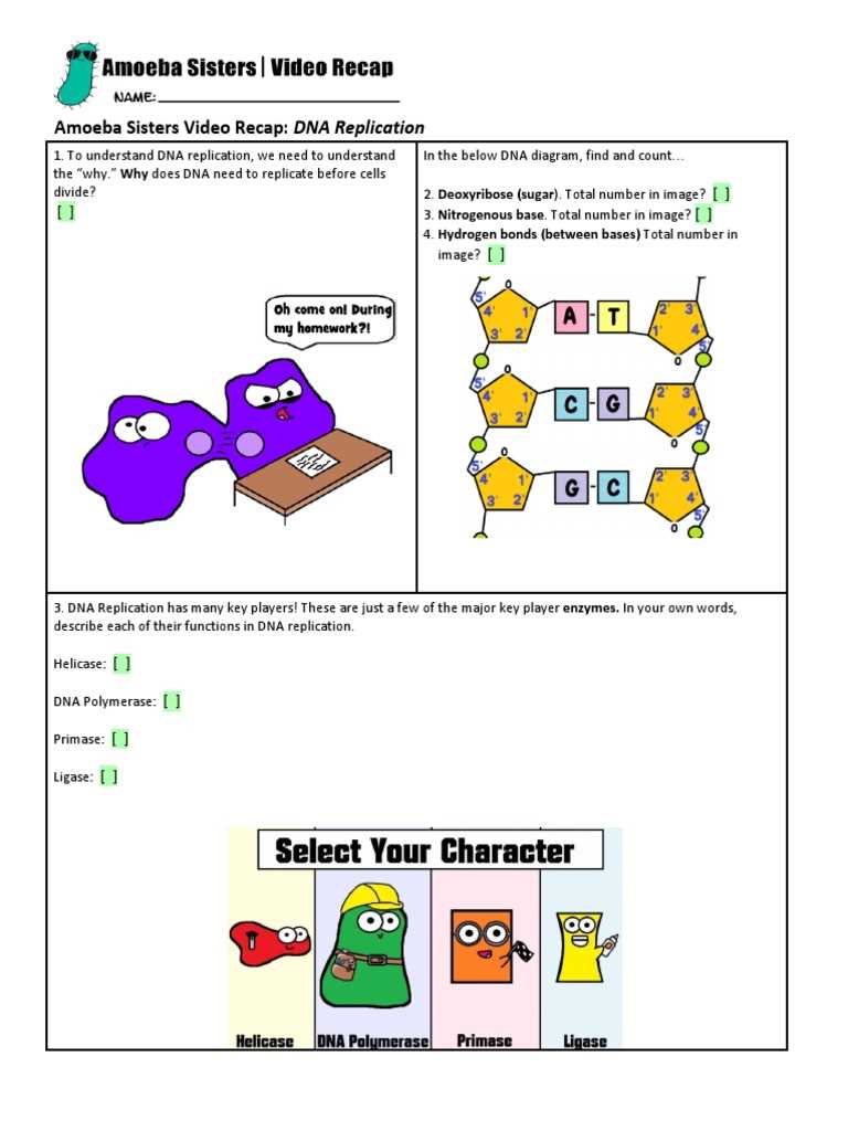 dna replication homework answer key