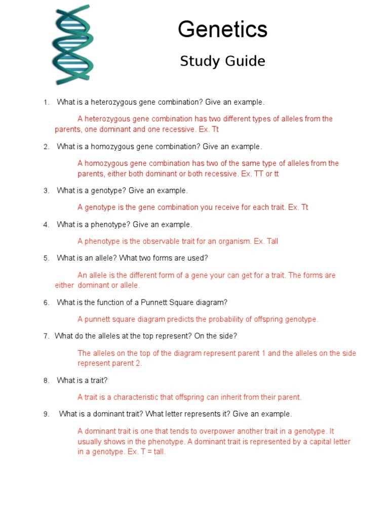 dna test study guide answer key