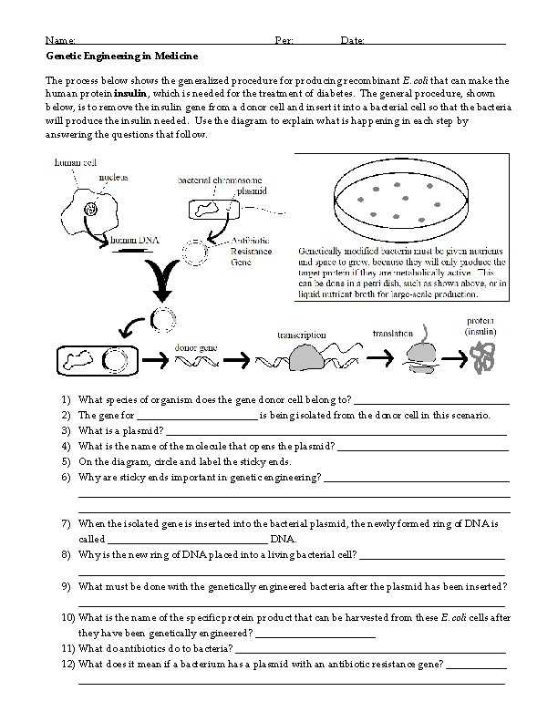 dnas instructions for insulin answer key dnas instructions for insulin answer key