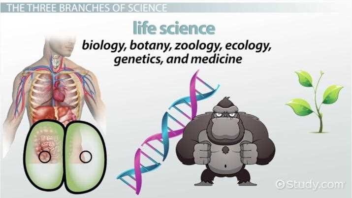 the nature of science part a vocabulary review answer key