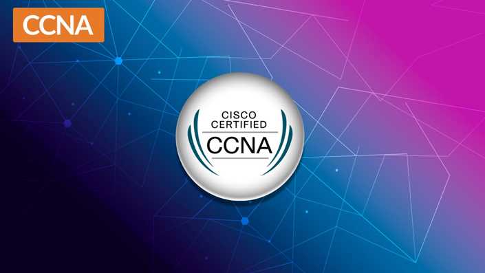 ccna 3 labs and study guide answer key
