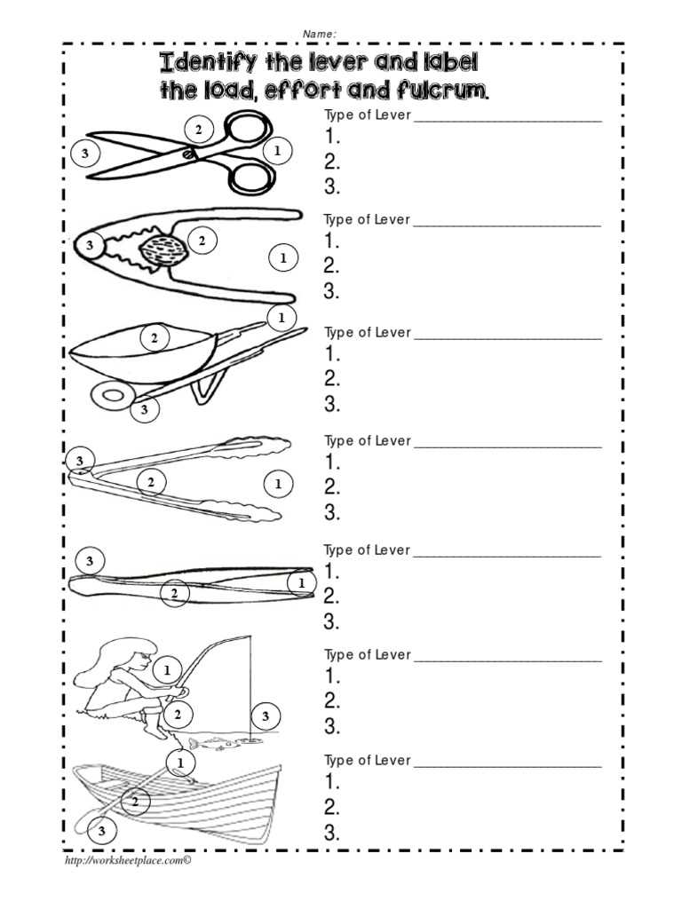 worksheetplace.com science answer key