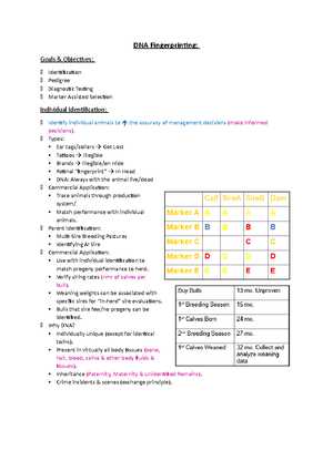 holt spanish 1 grammar tutor answer key