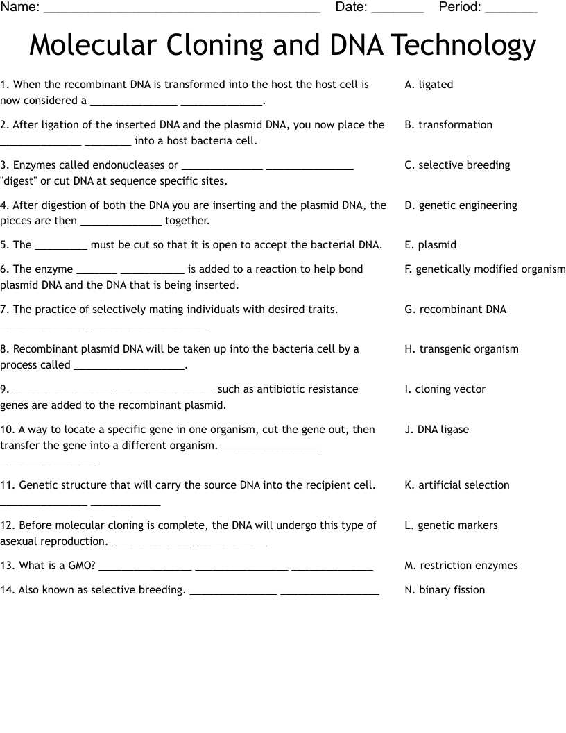 dna technology worksheet answer key