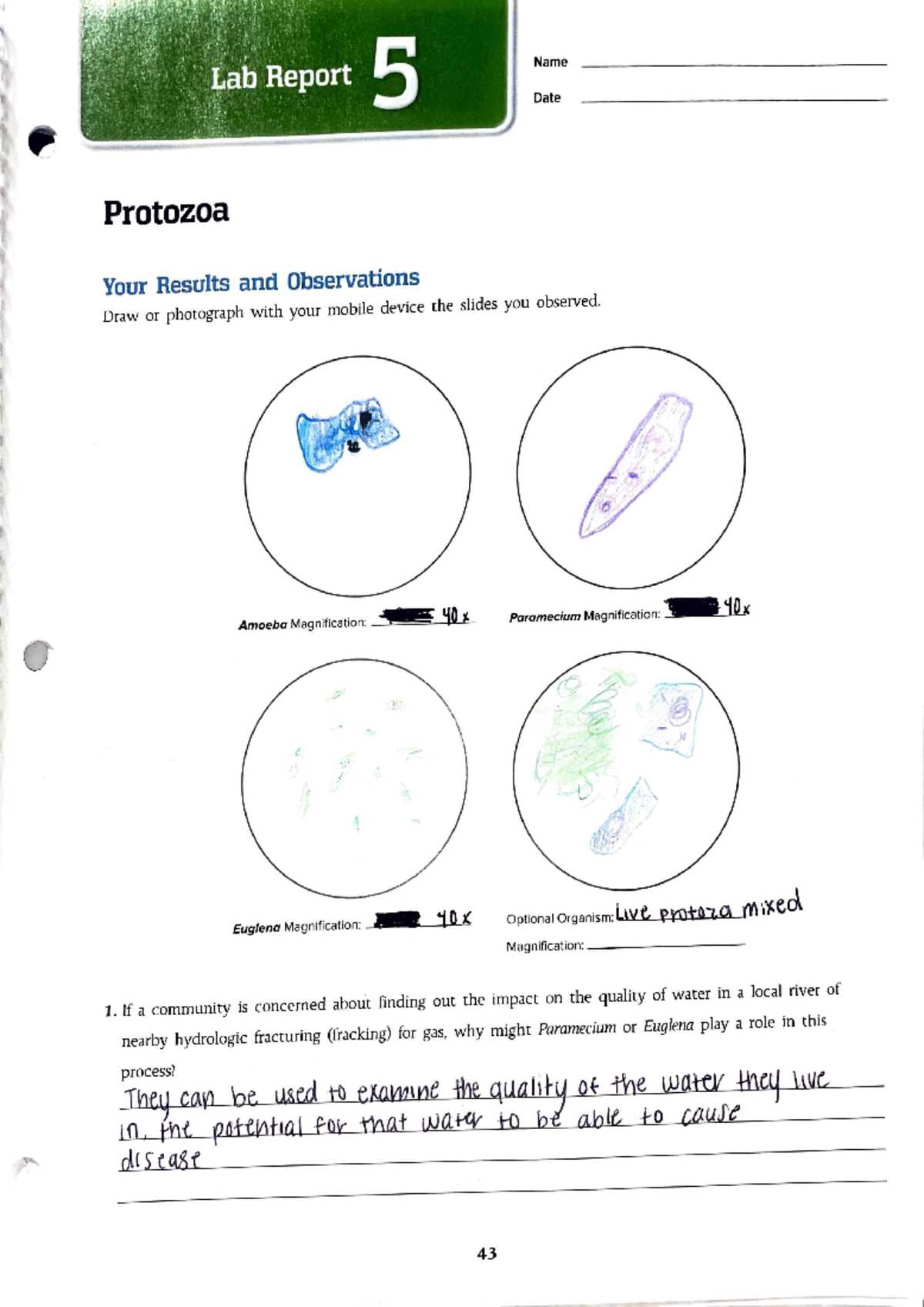 lab 5 1 sequence of events answer key earth science