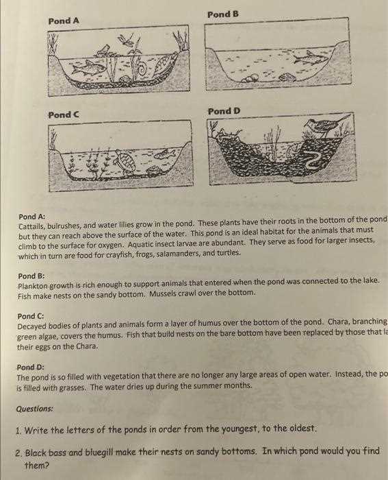 ecological succession worksheet answers key