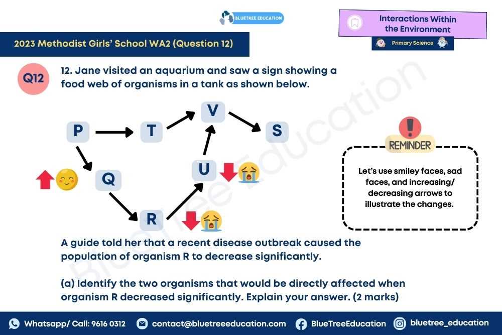 ecology interactions within the environment getting nerdy answer key ecology interactions within the environment getting nerdy answer key