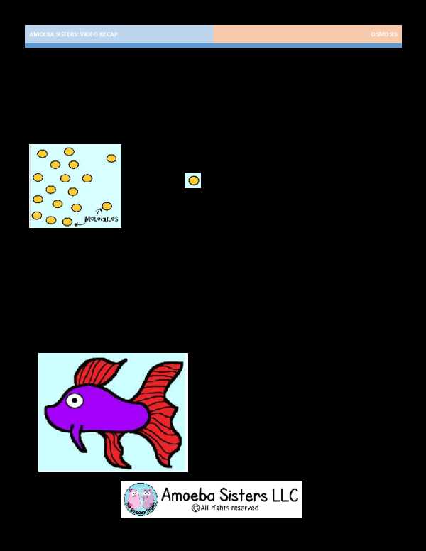 amoeba sisters video recap of cell transport answer key