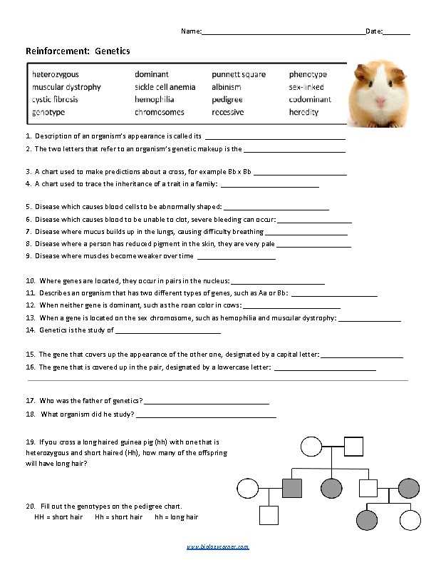 8.1 identifying dna as the genetic material reinforcement answer key