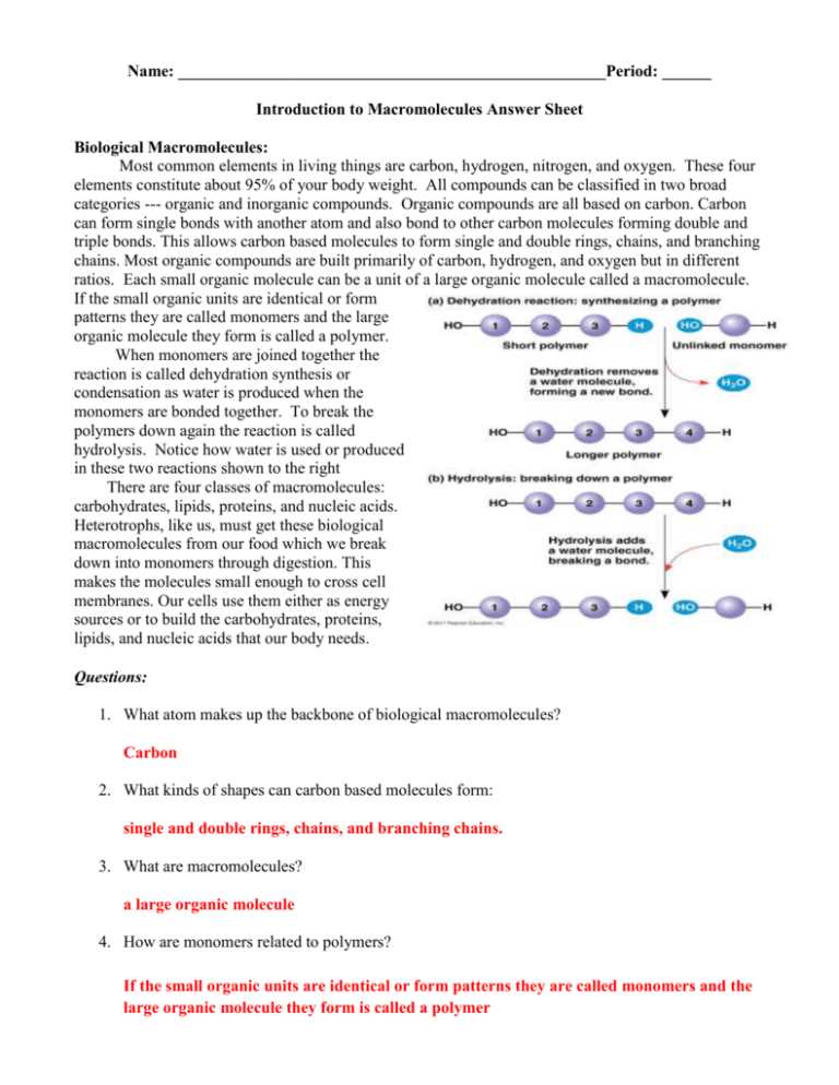 science from the south 2026 answer key macromolecules