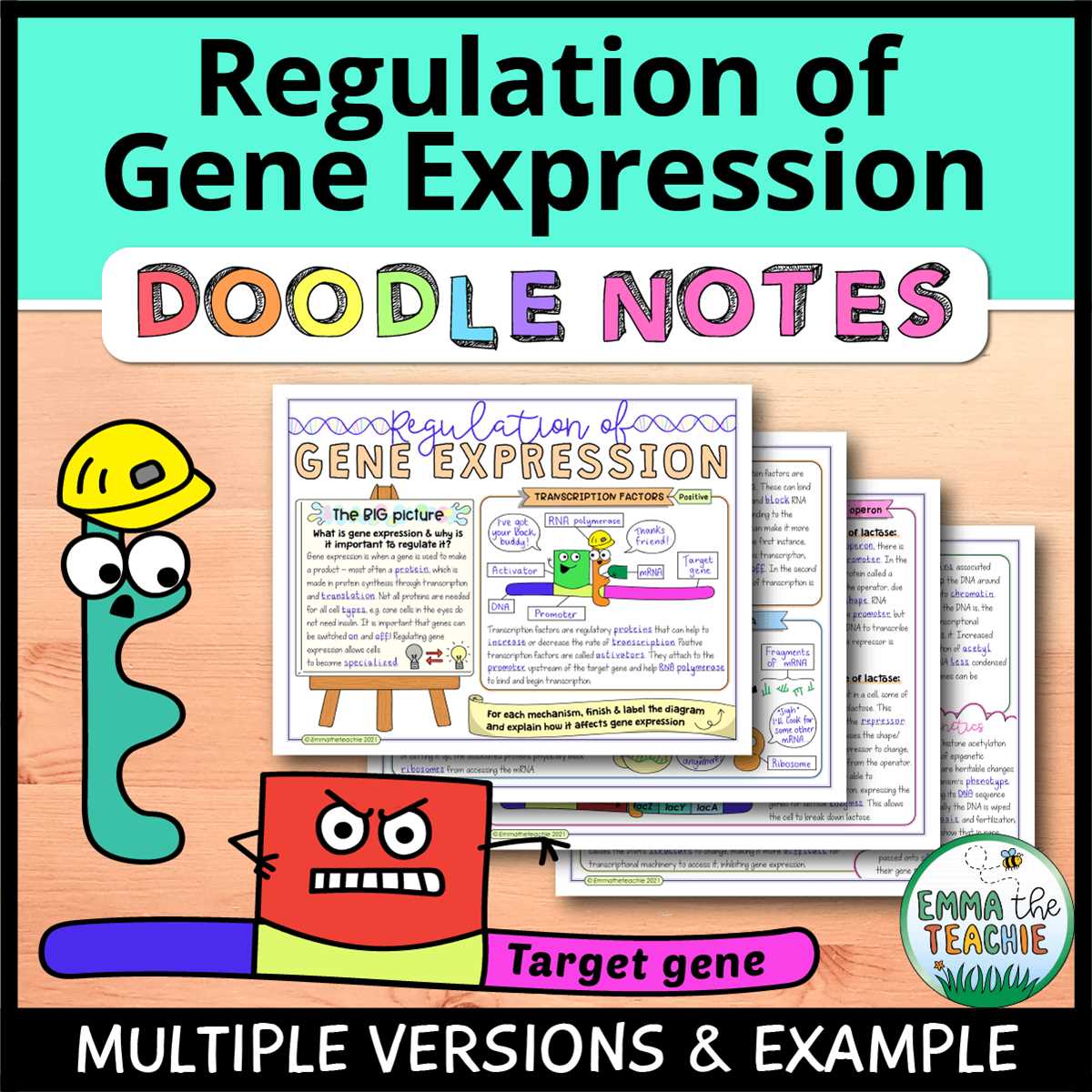 emmatheteachie protein synthesis answer key