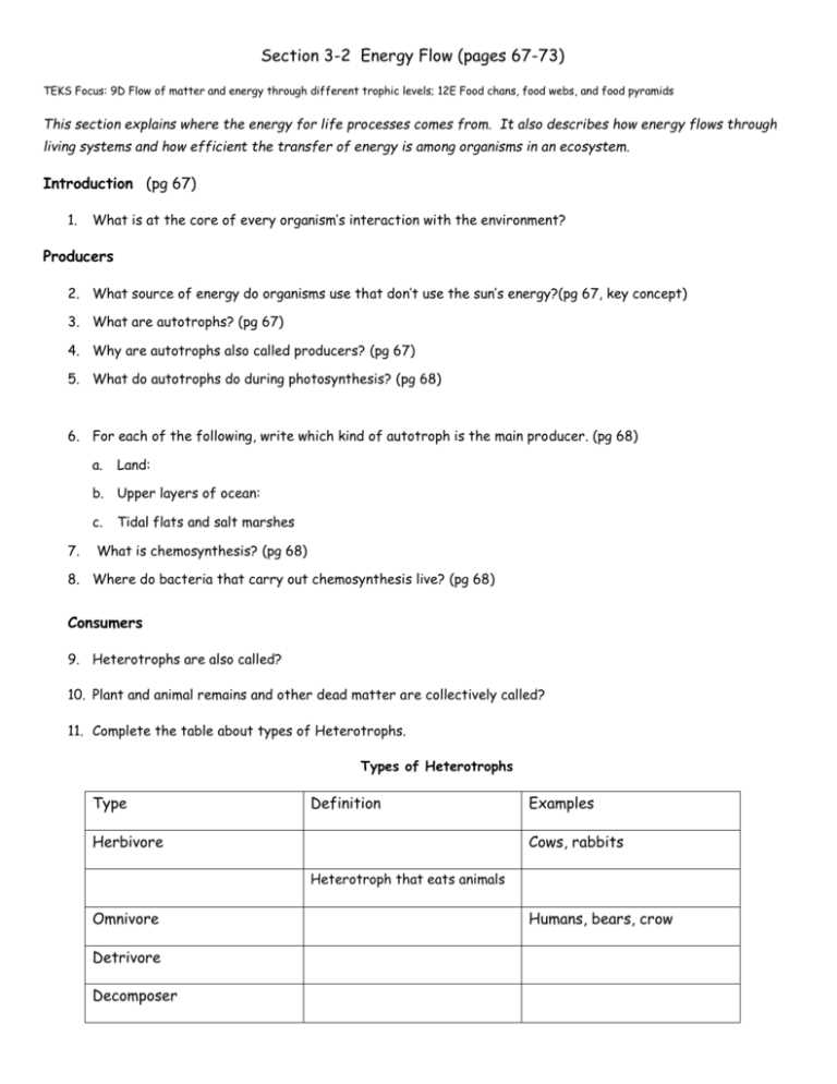 energy through an ecosystem worksheet answer key