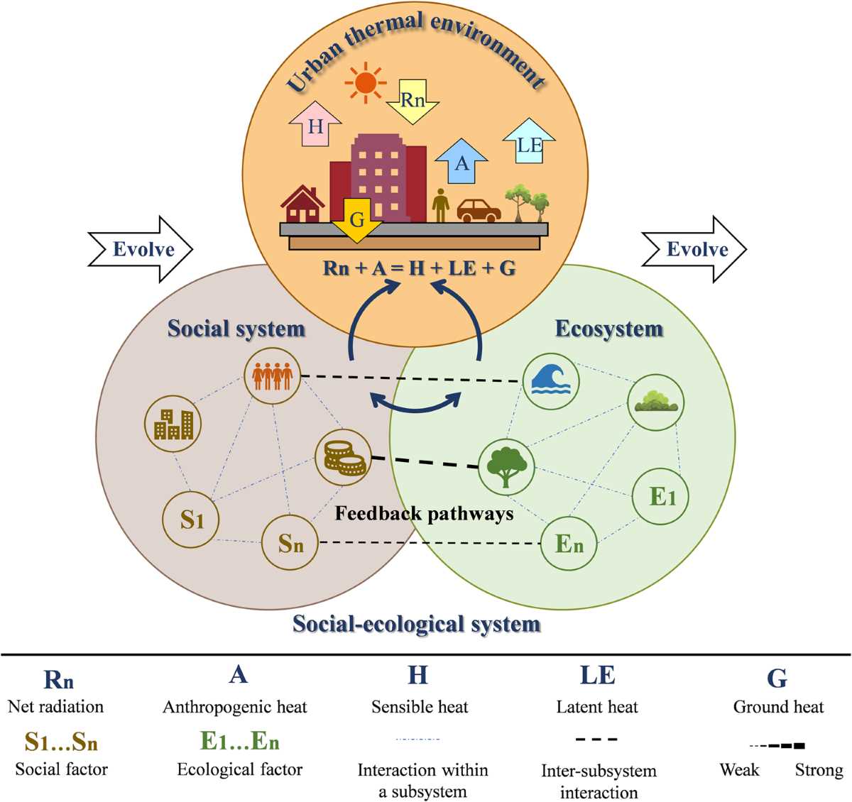 enviromental science chapter 5 how ecosystems work answer key