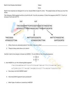 enzyme worksheet d koza j provost answer key