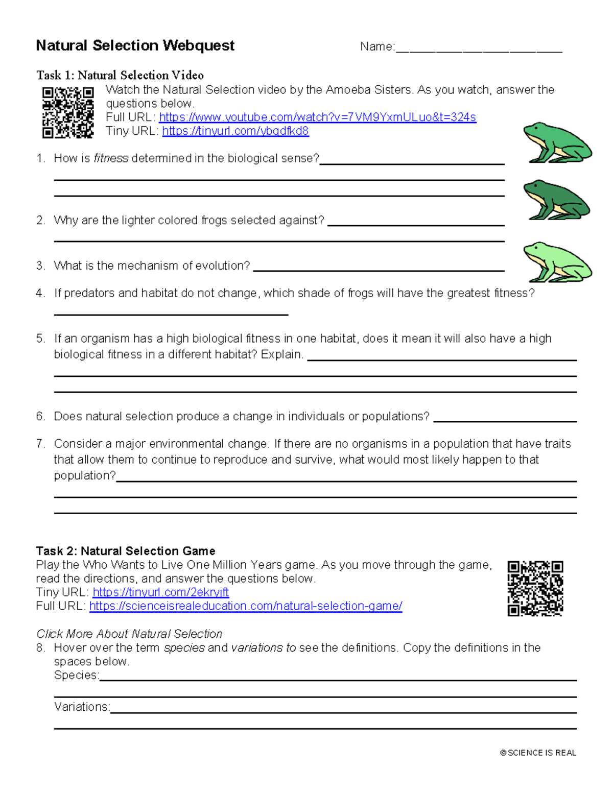 evolution webquest worksheet answer key