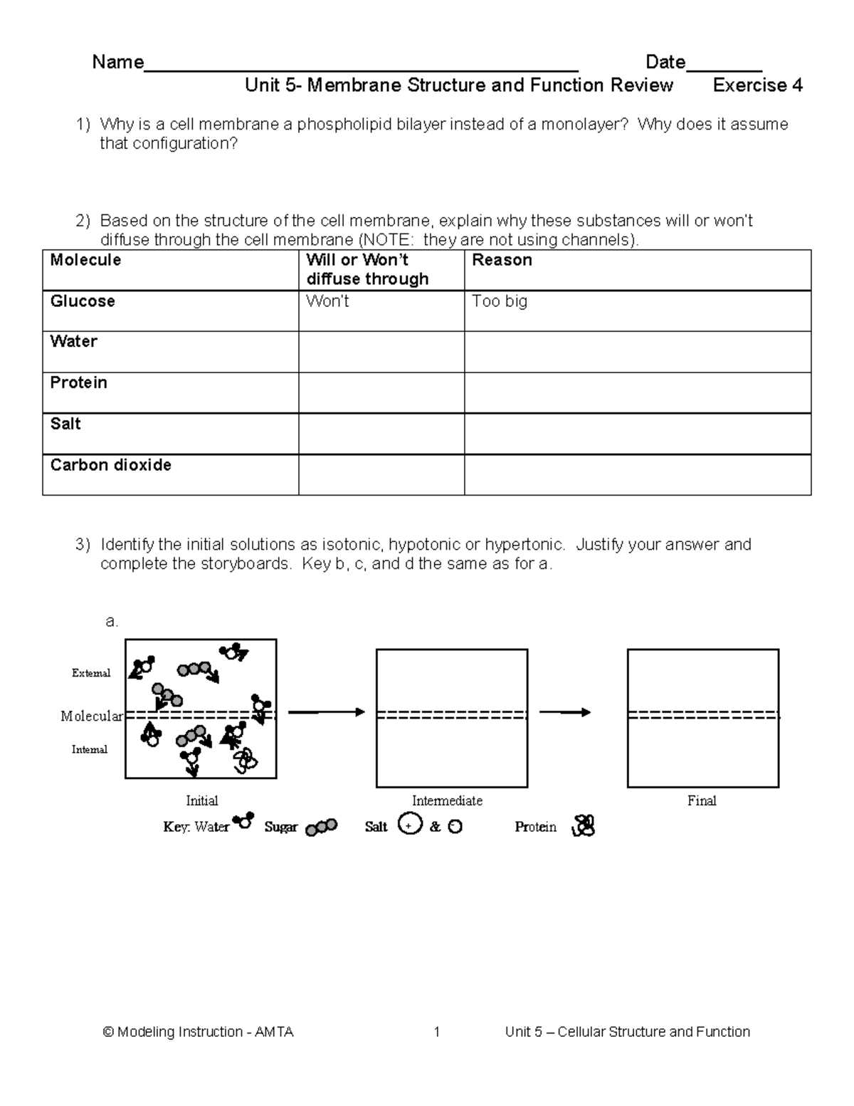 answer key membrane structure and function worksheet