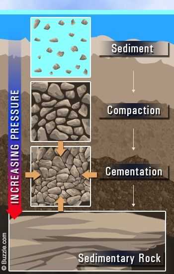 key concept builder lesson 3 sedimentary rocks answers