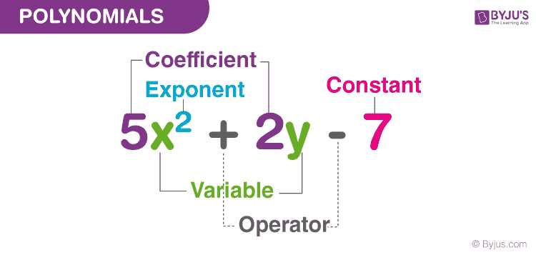 expressions understanding polynomial expressions independent practice answer key