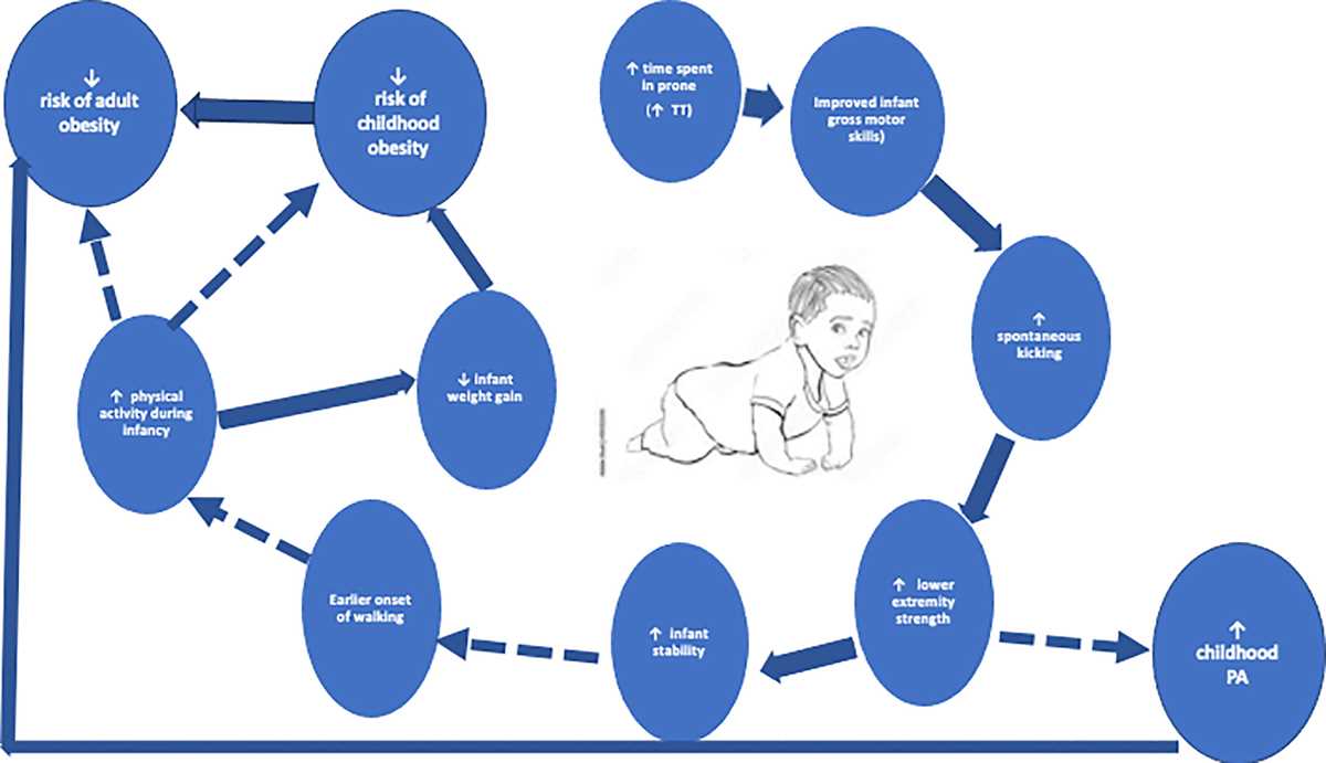 2.1 5 practice guidelines for fitness and nutrition answer key