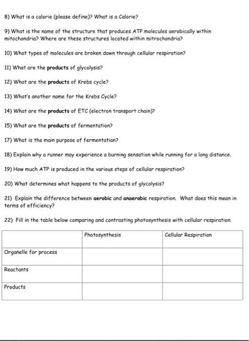 cellular respiration homework and study guide answer key