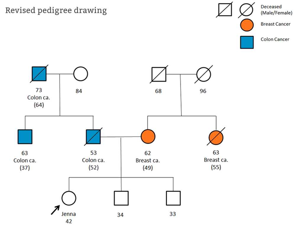 family pedigrees answer key