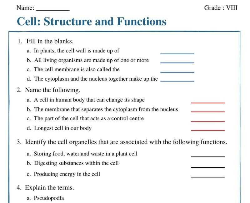 chapter 1 cell structure and function answer key