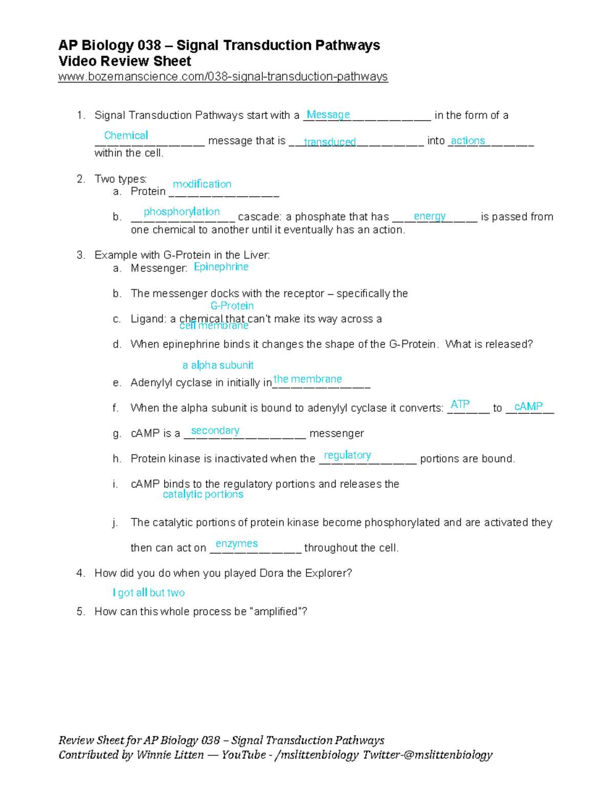 ap biology 045 organ systems video review sheet answer key