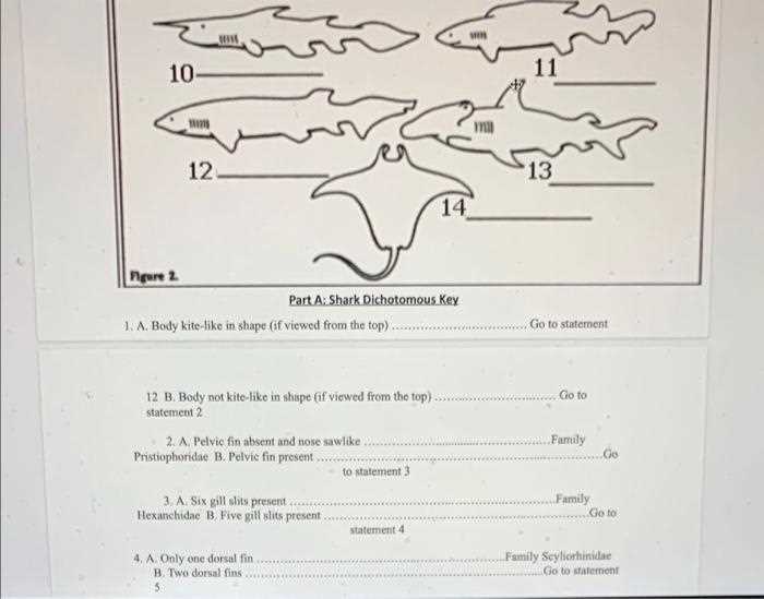 fish dichotomous key answer key