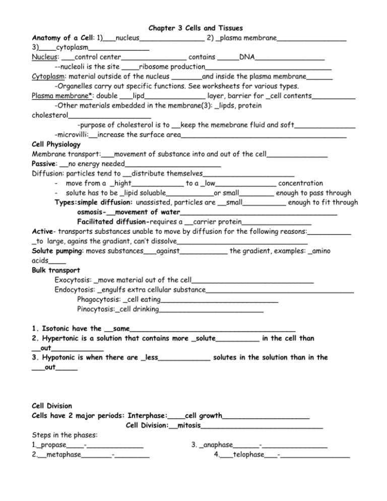 connective tissue worksheet anatomy answer key