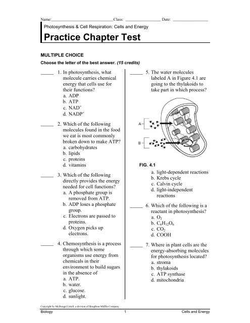 chapter 13 biology test answer key