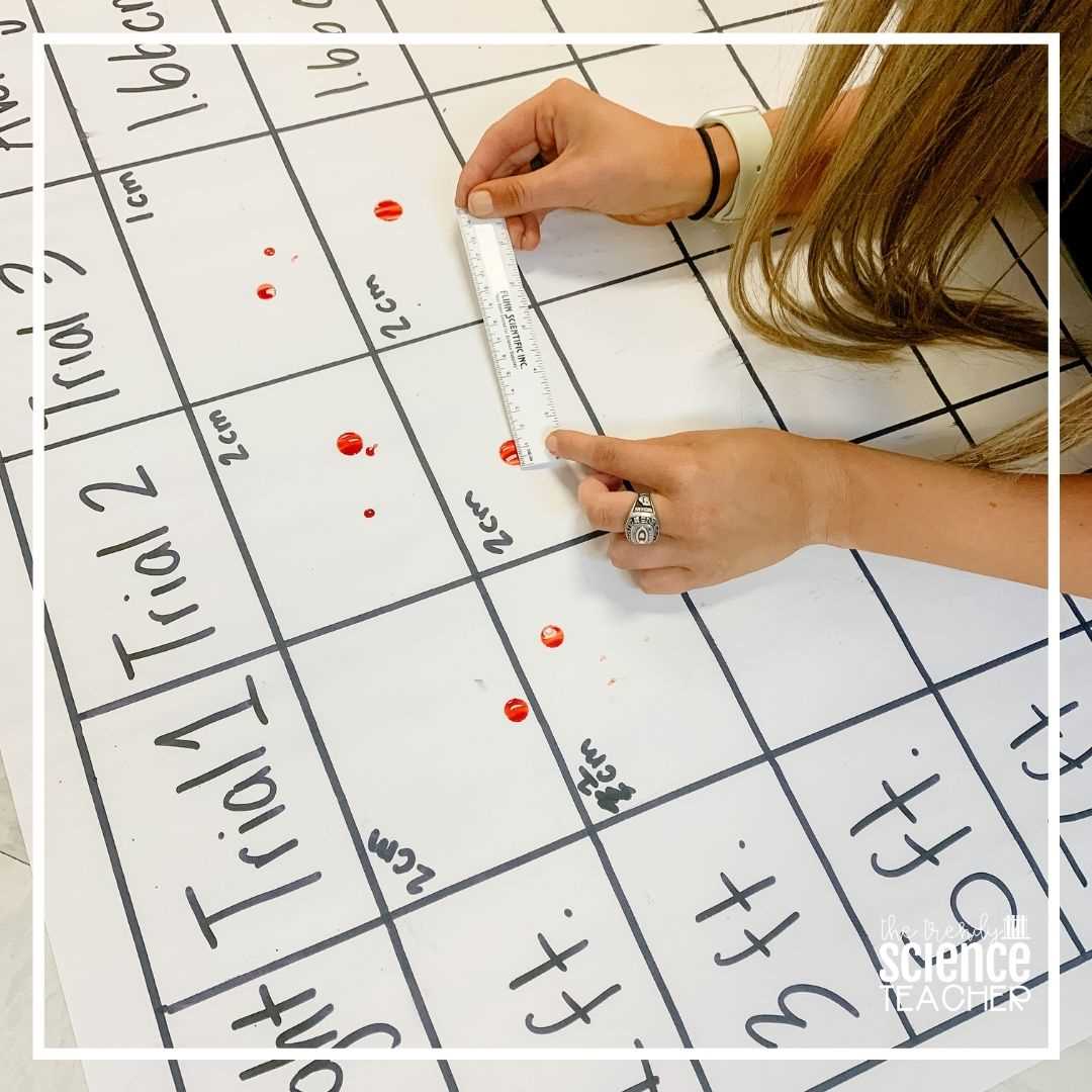 forensic files where the blood drops worksheet answers key