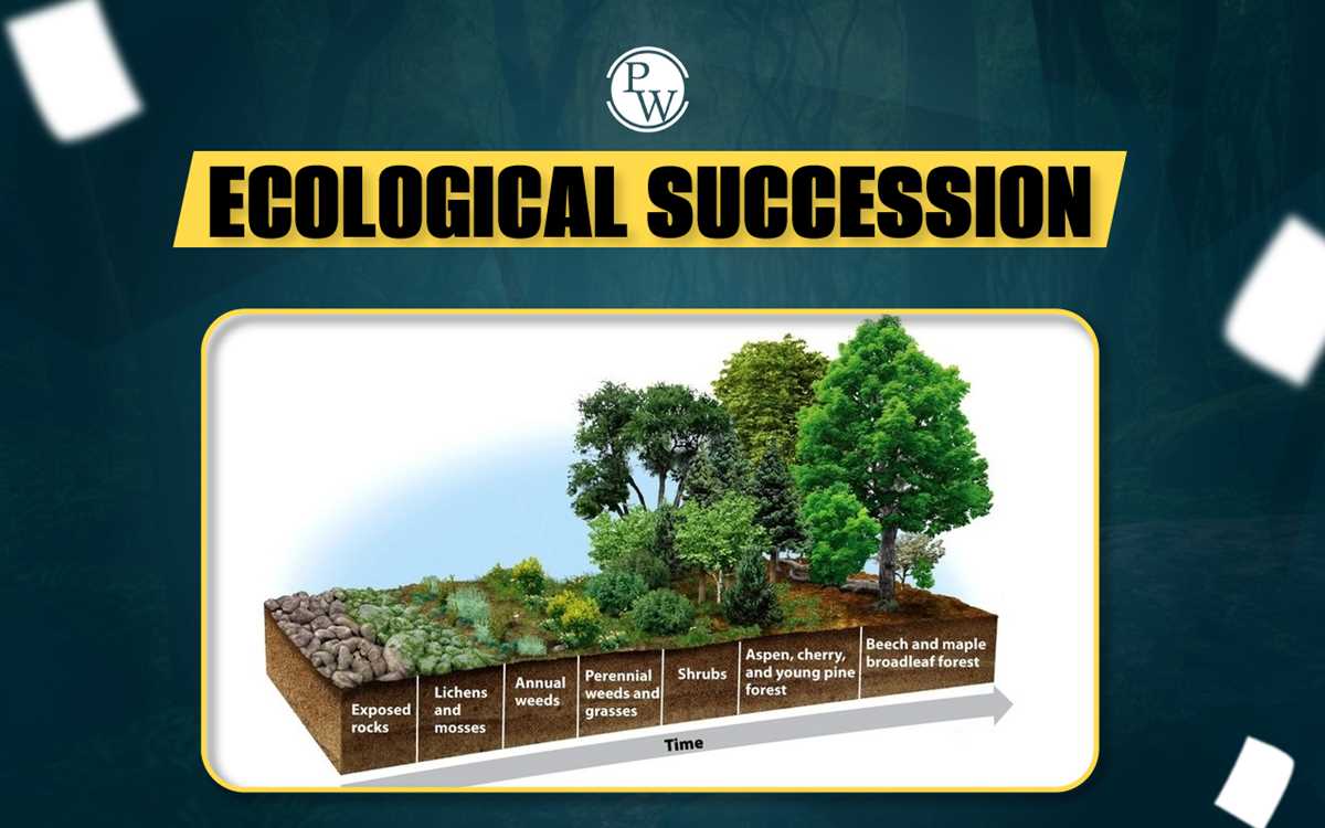 section 14.5 ecological succession study guide answer key