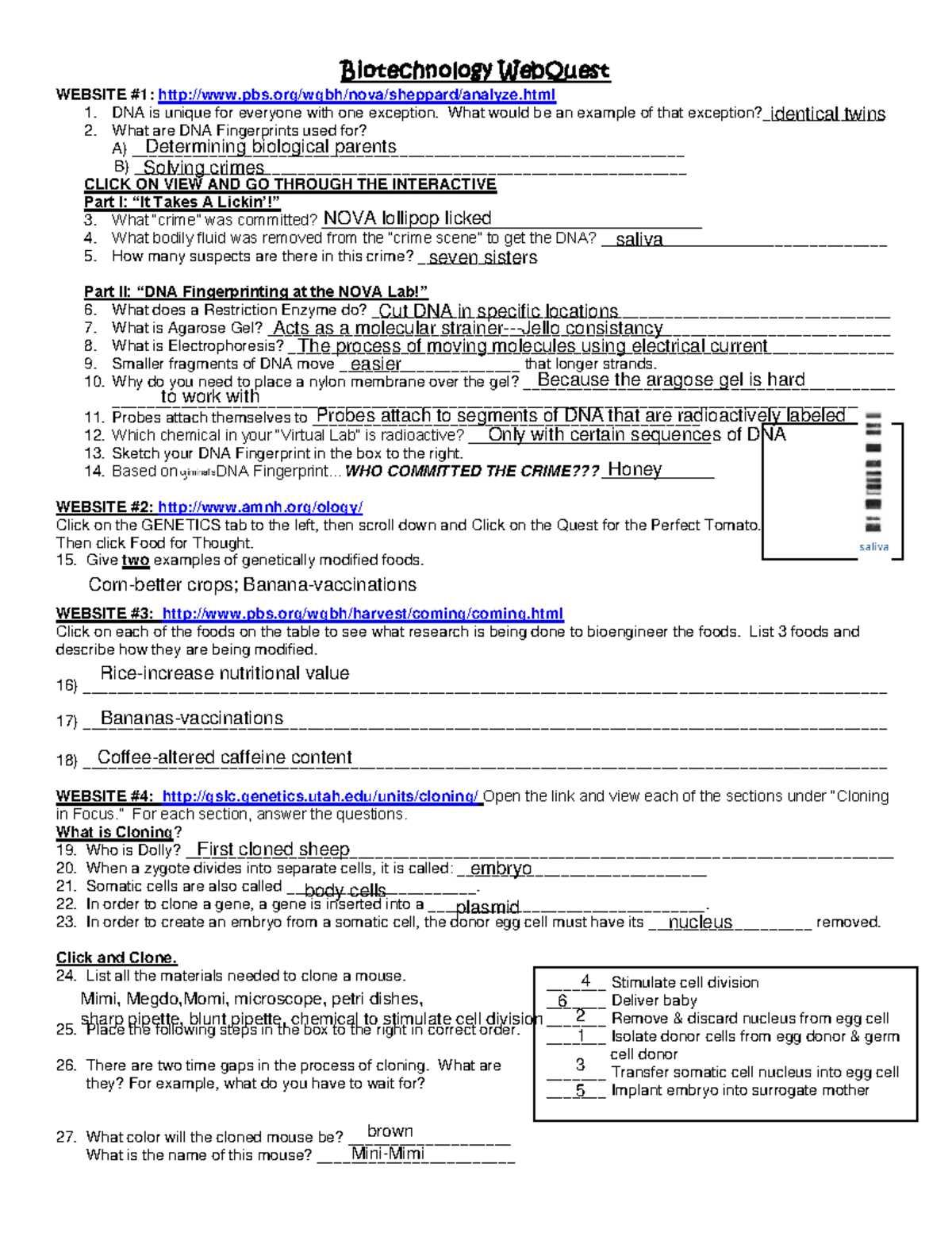 genetic technology webquest answer key