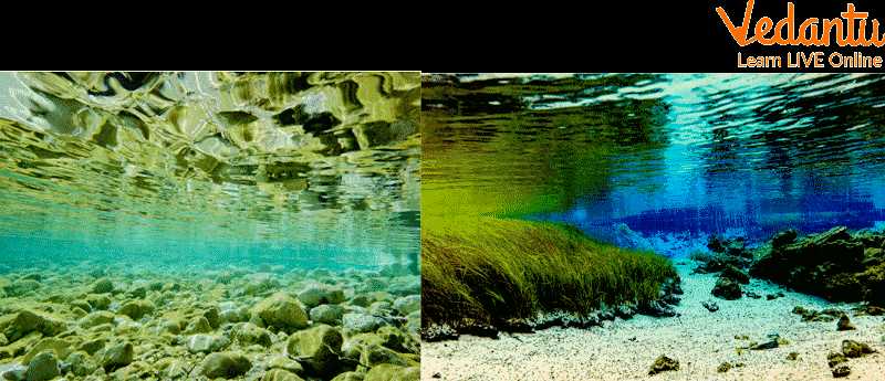 freshwater pollution guided reading and study answer key freshwater pollution guided reading and study answer key