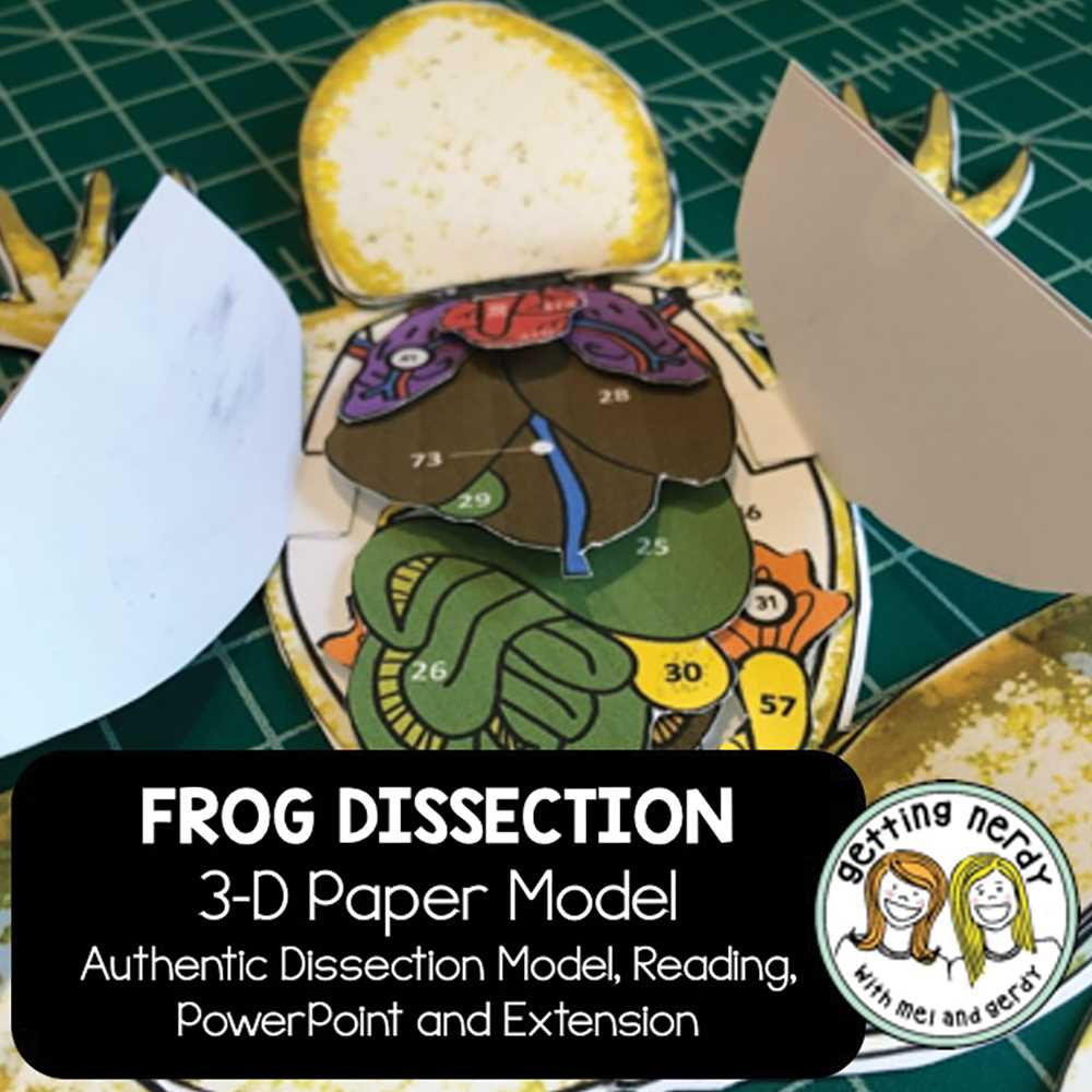 frog dissection gizmos answer key