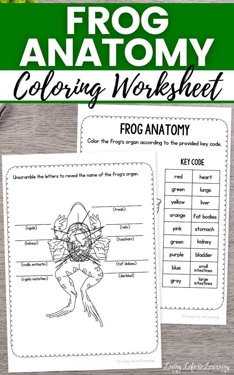 frog dissection lab report answer key