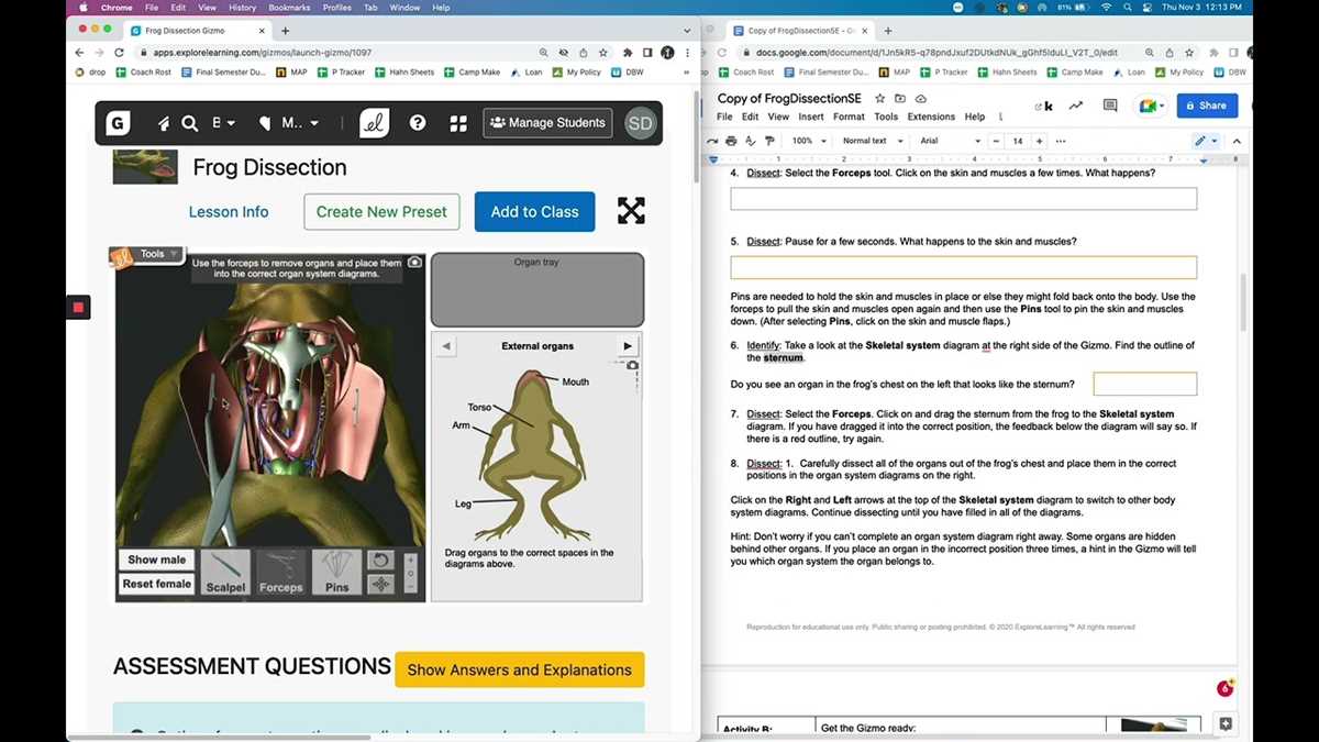frog dissection lab report answer key