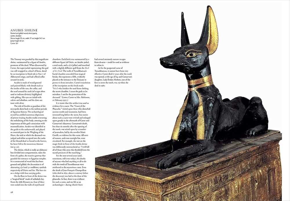 from treasures of the tomb answer key