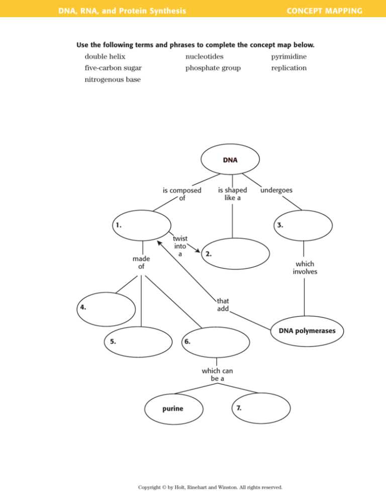 concept covered protein synthesis answer key