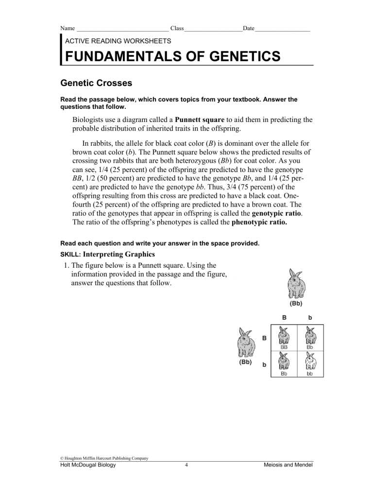 fundamentals of genetics skills worksheet answer key