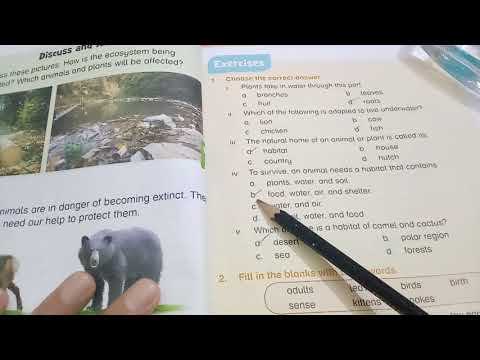 new oxford primary science level 3 answer key