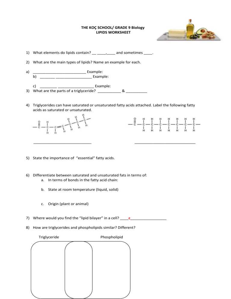 lipids worksheet answers key
