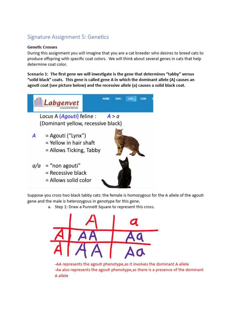 genetic crosses that involve 2 traits advanced answer key genetic crosses that involve 2 traits advanced answer key