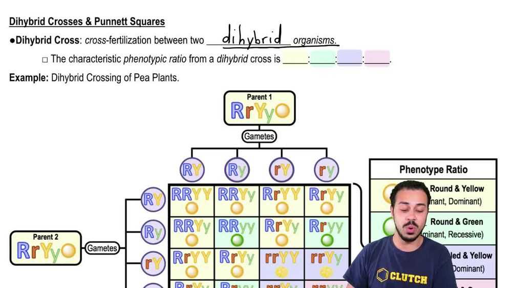 genetic crosses that involve 2 traits advanced answer key genetic crosses that involve 2 traits advanced answer key