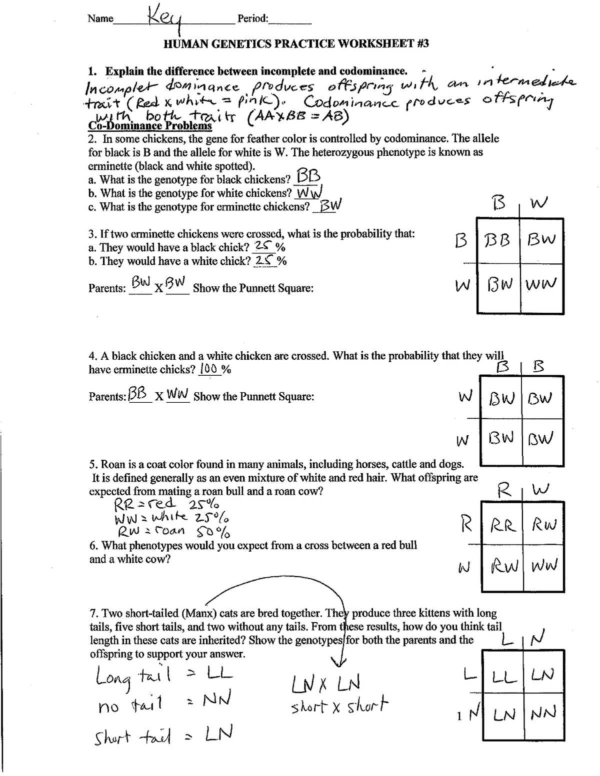genetic problems answer key