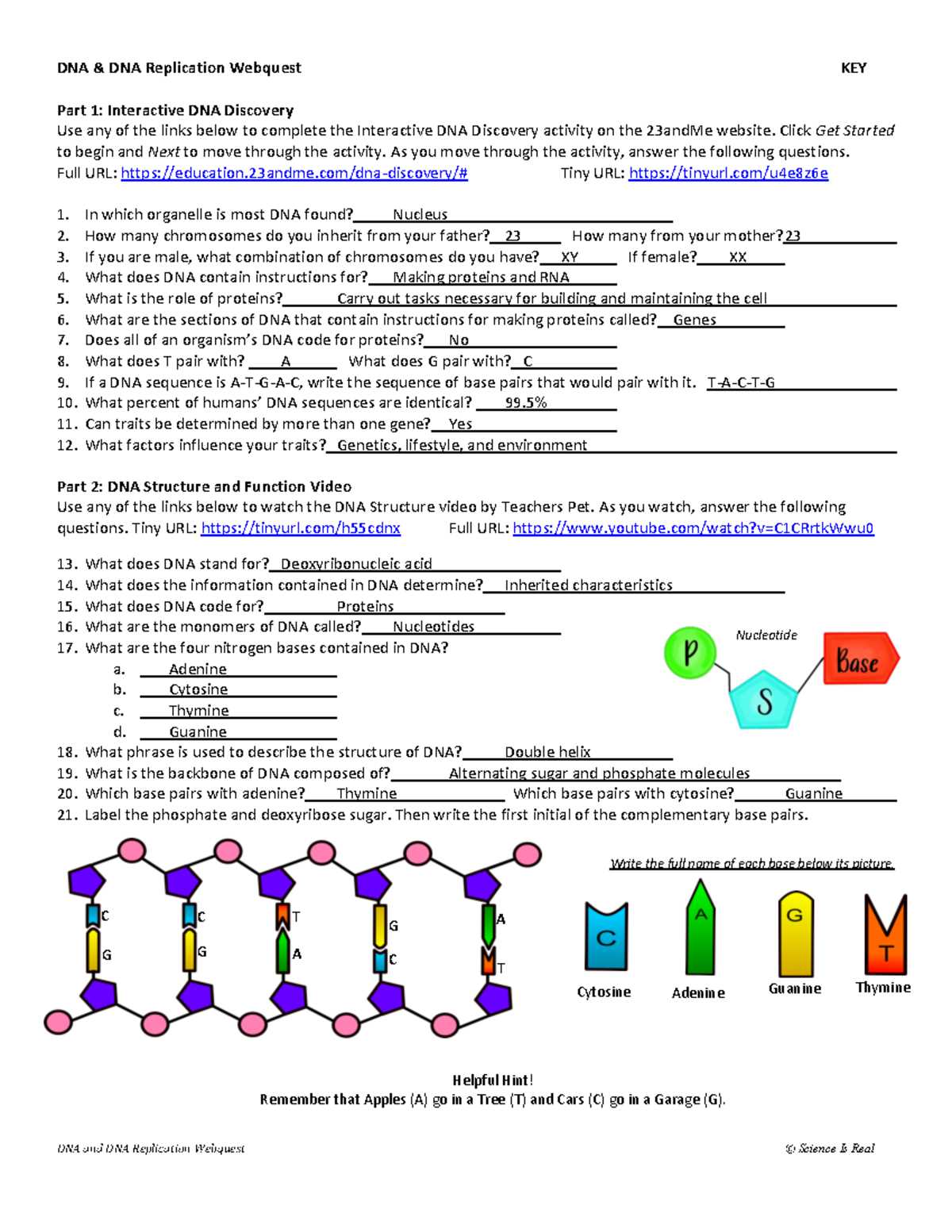 genetic technology webquest answer key