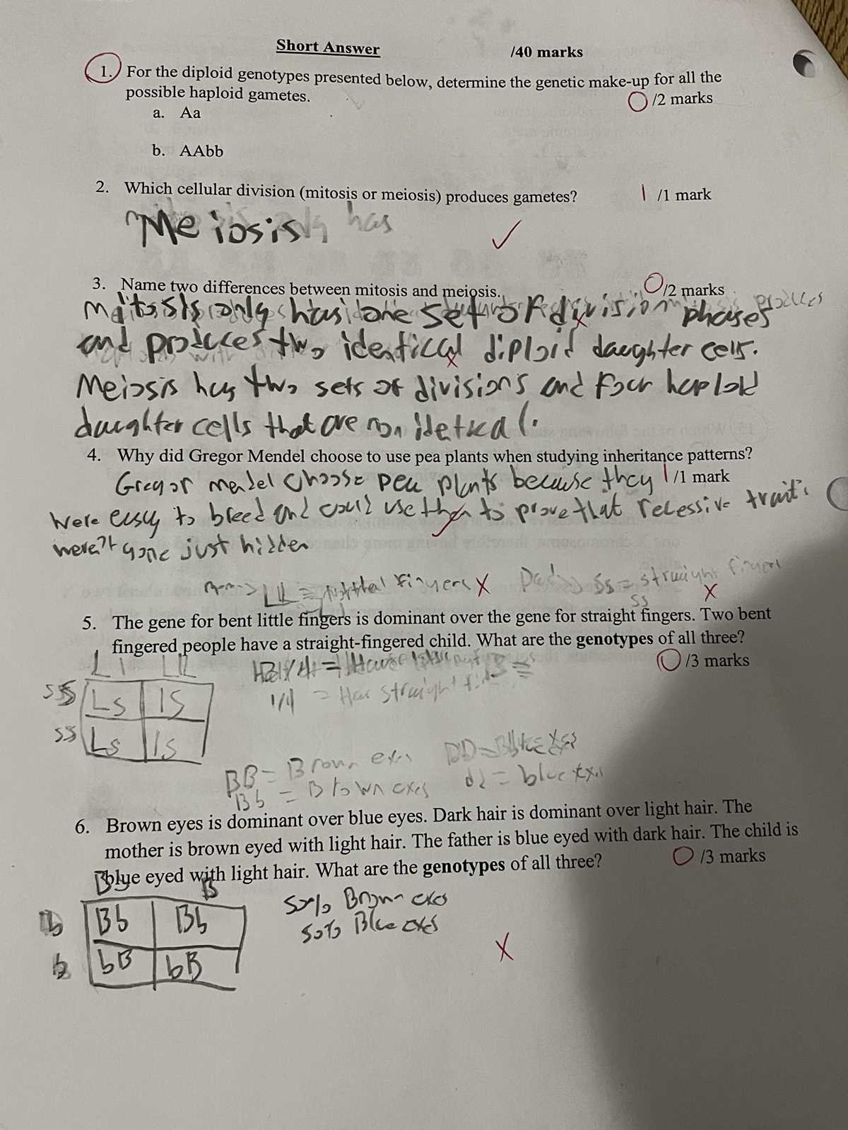 genetics and punnett squares color by number answer key