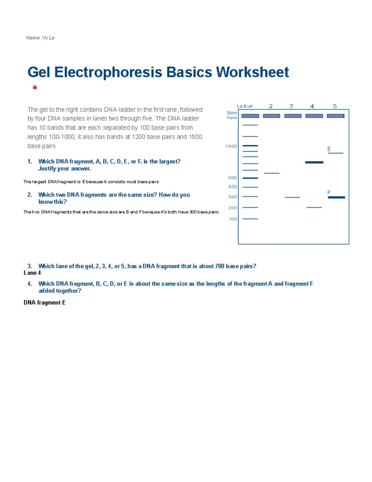 genetics basics pogil answer key